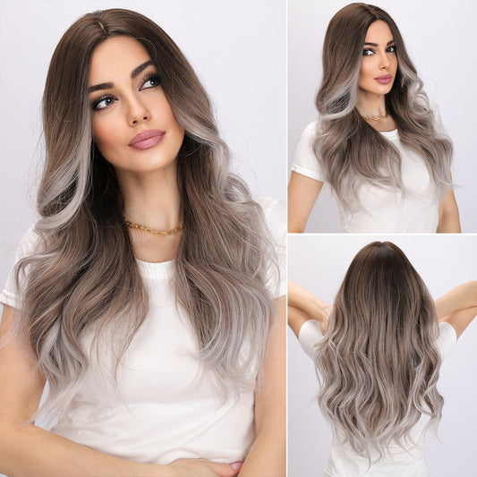 Elsie | Gray and Brown Gradient Wig | Deep Wave Wig | 24 inch Wig | TM Pop