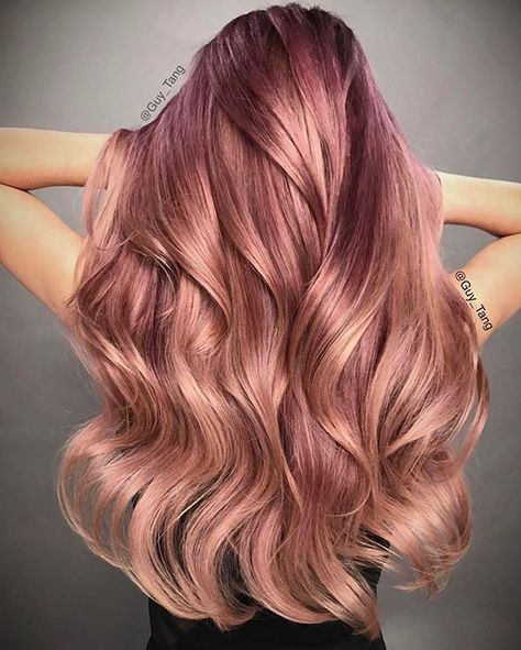 Pink Gradient | Loose Wave | 24inch | apn Prtheus