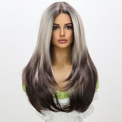 Aitana | Grey Dark Brown Gradient | Straight | T-Part 13*5*1 Lace Front | 28 Inches | SM9217 | Apn Popinrow
