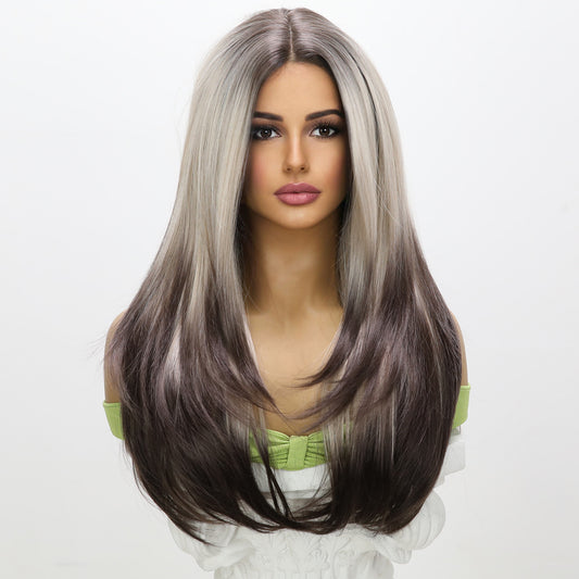 Aitana | Grey Dark Brown Gradient | Straight | T-Part 13*5*1 Lace Front | 28 Inches | SM9217 | Apn Popinrow