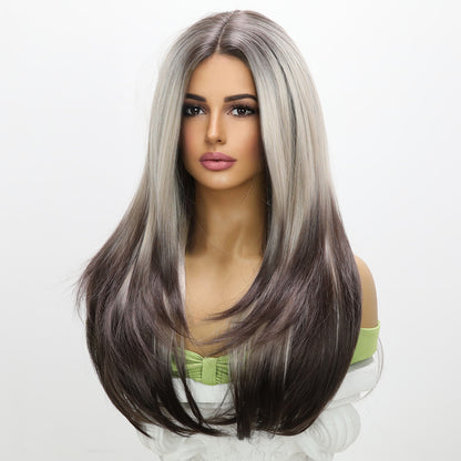 Aitana | Grey Dark Brown Gradient | Straight | T-Part 13*5*1 Lace Front | 28 Inches | SM9217 | Apn Popinrow