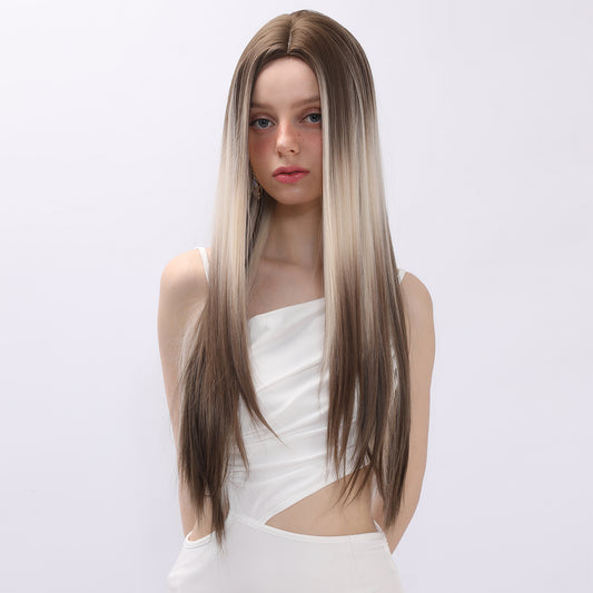Daleyza | Brown and Ombre | Straight Hair Wig | 26 inch | SM1659 | Apn Popinrow