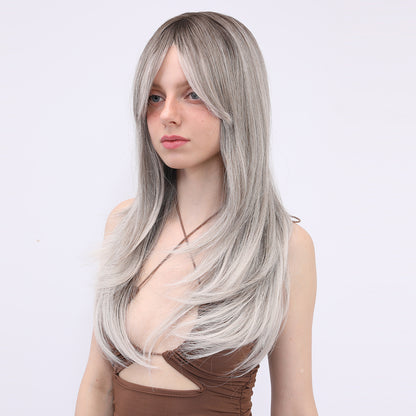 Shiloh | Brown | Daily Style | Straight Wig | 22 Inch | SM258 | Apn Popinrow