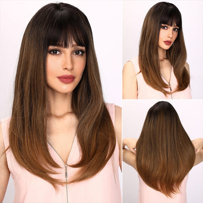 Sawyer | Brown and Ombre Wig | Straight Hair Wig | 26 inch Wig | TM Pop