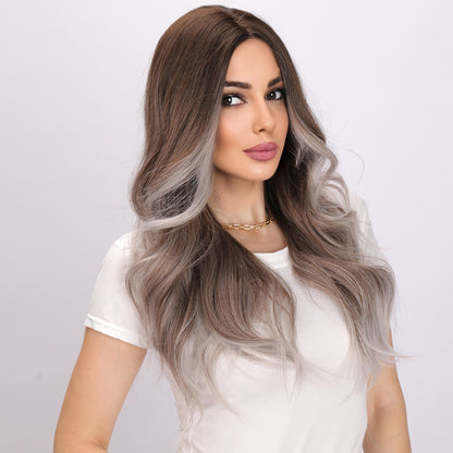 Elsie | Gray and Brown Gradient Wig | Deep Wave Wig | 24 inch Wig | TM Pop
