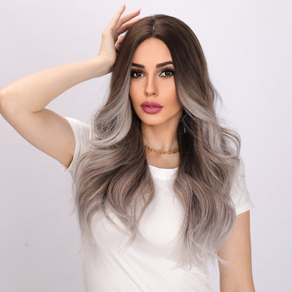 Elsie | Gray and Brown Gradient Wig | Deep Wave Wig | 24 inch Wig | TM Pop