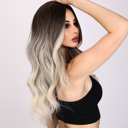 Natalia | Gray and Ombre Wig | Loose Wave Wig | 26 inch Wig | TM Pop