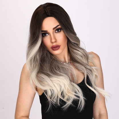 Natalia | Gray and Ombre Wig | Loose Wave Wig | 26 inch Wig | TM Pop