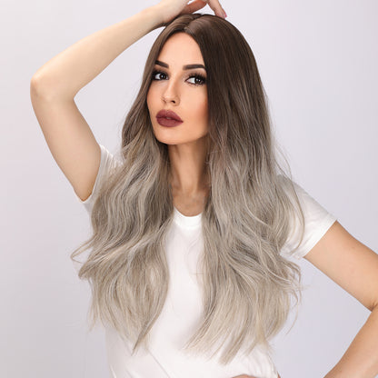 Emerson | Brown and Gray Gradient Wig | Body Wave Wig | 26 Inch Wig | TM Pop