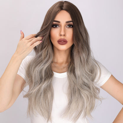 Emerson | Brown and Gray Gradient Wig | Body Wave Wig | 26 Inch Wig | TM Pop