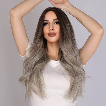 Emerson | Brown and Gray Gradient Wig | Body Wave Wig | 26 Inch Wig | TM Pop