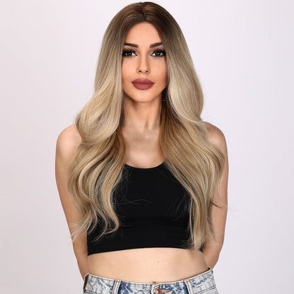 Norah | Brown and Ombre Gradient Wig | Loose Wave Wig | 24 inch Wig | TM Pop