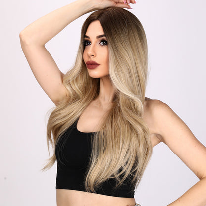 Norah | Brown and Ombre Gradient Wig | Loose Wave Wig | 24 inch Wig | TM Pop