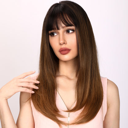 Sawyer | Brown and Ombre Wig | Straight Hair Wig | 26 inch Wig | TM Pop