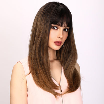 Sawyer | Brown and Ombre Wig | Straight Hair Wig | 26 inch Wig | TM Pop