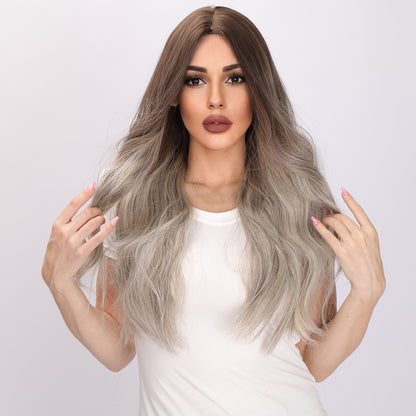Emerson | Brown and Gray Gradient Wig | Body Wave Wig | 26 Inch Wig | TM Pop