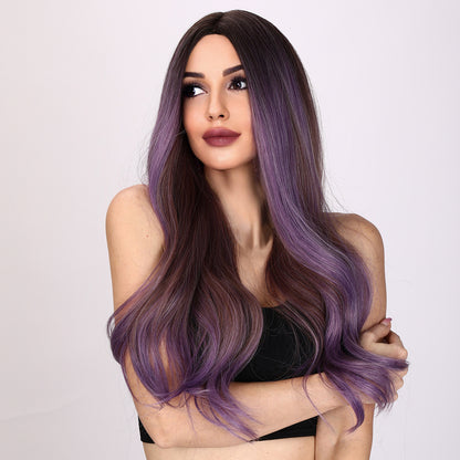 Oakley | Purple  and Brown Mixed Wig | Loose Wave Wig | 26 inch Wig | TM Pop