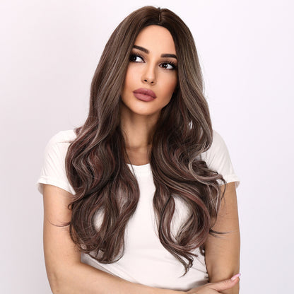 Aubree | Gray and Brown Wig | Deep Wave Wig | 24 inch Wig | TM Pop