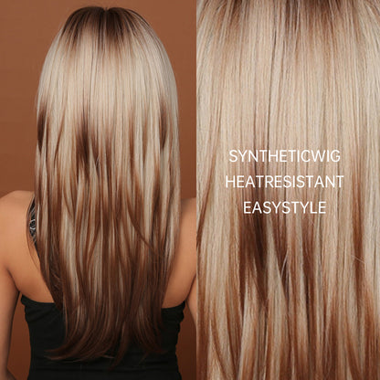 Amina | Ombre Dark Brown Mixed Blonde Layered| Long Straight | 22 inches | LC2068-9 | Apn Popinrow
