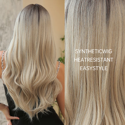 Dream | Gray | Long Straight Hair With Bangs | 26 Inch | WL1021-1 | Apn Popinrow