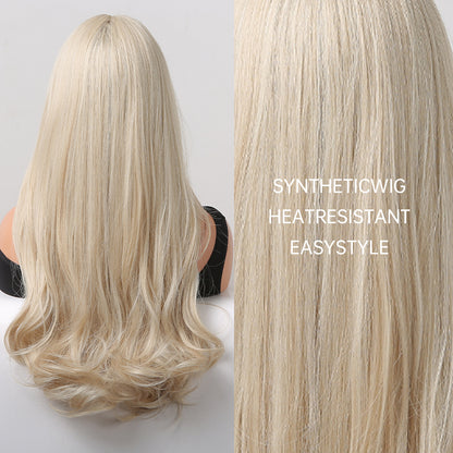 Kalani | Golden Mixed Grey | Long Platinum Wavy Wig With Bangs | 24 Inch | LC5038-1 | Apn Popinrow
