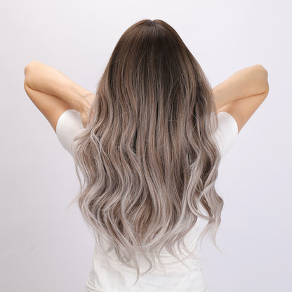 Elsie | Gray and Brown Gradient Wig | Deep Wave Wig | 24 inch Wig | TM Pop