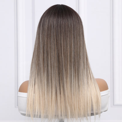 Andrea | Golden Gradient Wig | Straight Hair | 20 inch Wig | TM Pop