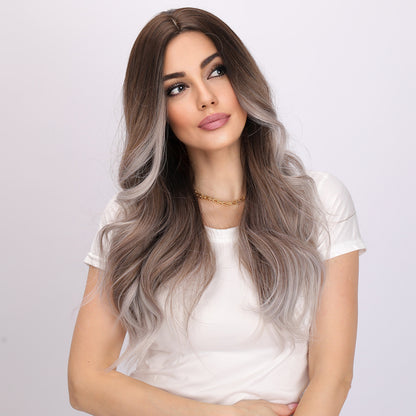 Elsie | Gray and Brown Gradient Wig | Deep Wave Wig | 24 inch Wig | TM Pop
